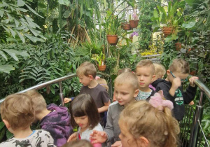 Dzieci podziwiają roślinność w Palmiarni