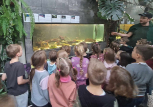 Dzieci wraz z przewodnikiem oglądają ryby w akwariach
