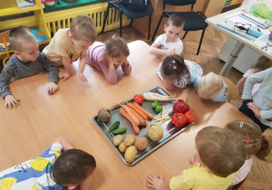 Dzieci nazywają przyniesione przez siebie warzywa.