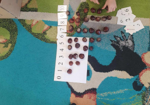 Dzieci układają kasztany pod odpowiednią liczbą