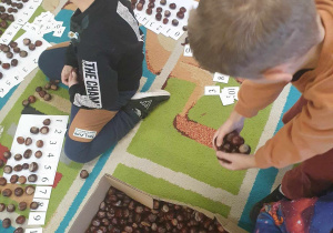 Dzieci układają kasztany pod odpowiednią liczbą