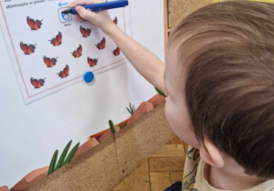Chłopiec wpisuje liczbę motyli frunących w lewo